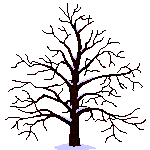 arbol