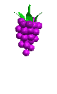 uva01